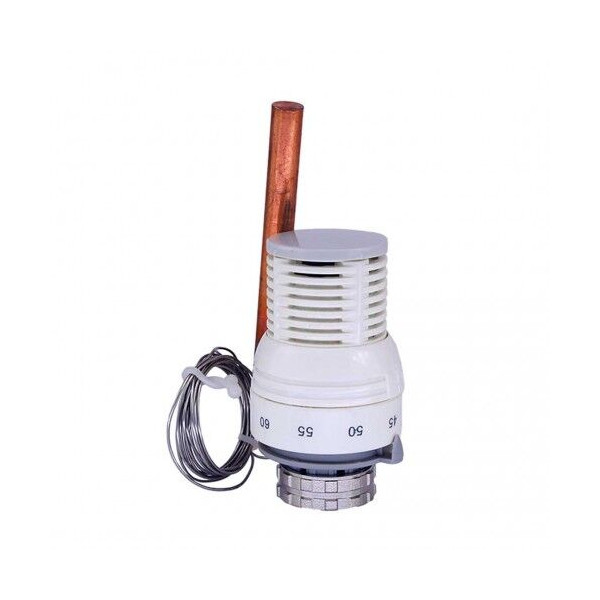 Cap ternostatic cu sonda m30x1.5 fado