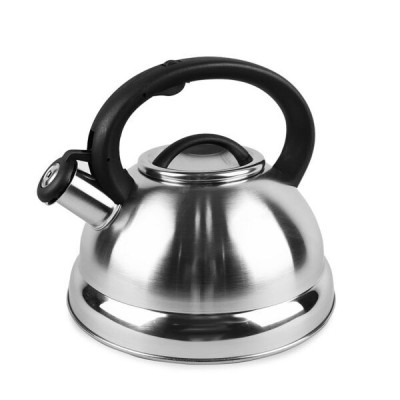 Ceainic 3.0l mr-1313