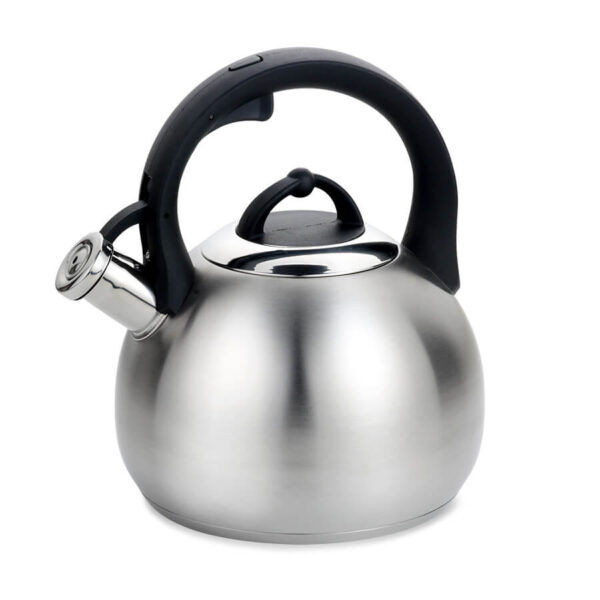 Ceainic 3.0l mr-1311