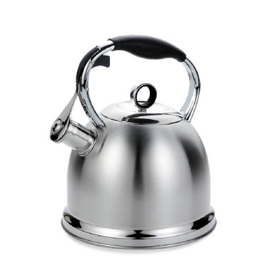 Чайник maestro 2.9l mr-1334